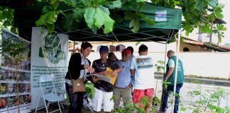 Prefeitura doa mudas nativas no bairro Pedreiras