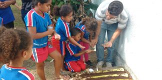 Imagem de alunos plantando mudas na EM Jacinto Caetano