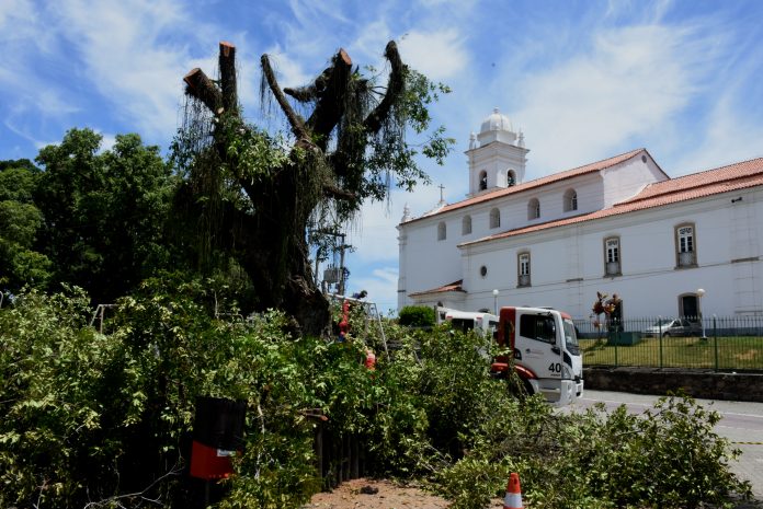 Imagem da retirada de árvore da Praça Orlando de Barros Pimentel no Centro
