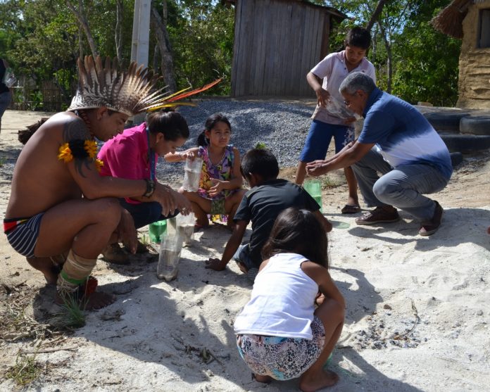 Imagem da ação de plantio na aldeia indígena