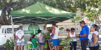 Imagem da doação de mudas no Centro do Maricá+Verde