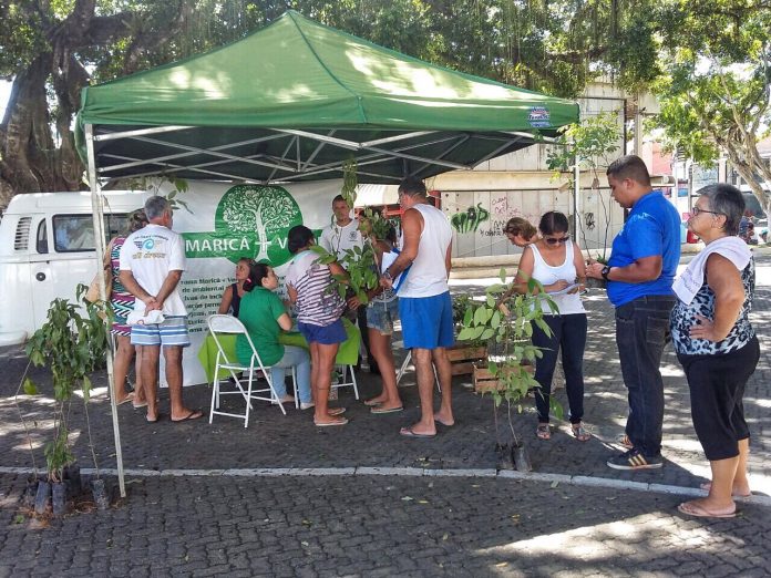 Imagem da doação de mudas no Centro do Maricá+Verde