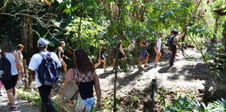 Imagem do Circuito Ecológico no Caminho de Darwin em Itaipuaçu