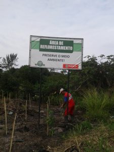 Maricá+Verde expande áreas de plantio
