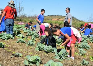 Alunos de escola no Caju participam de colheita em horta agroecológica no Manu Manuela