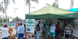 O programa Maricá Mais Verde esteve nesta quinta em Itaipuaçu