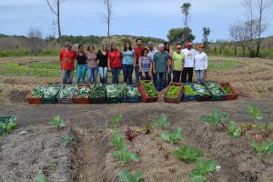 Caic recebe hortaliças da segunda colheita da horta comunitária