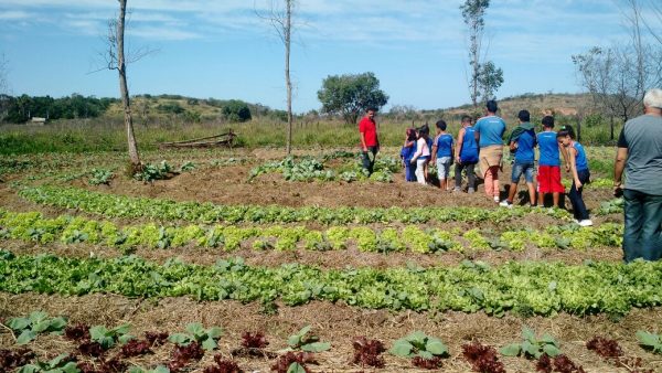 Prefeitura promove cursos de capacitação em produção agroecológica
