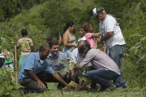 Prefeitura e Cedae vão plantar 33 mil mudas no Silvado
