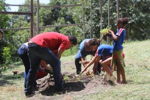 EM Jacinto Luiz Caetano recebe projeto “Hortas Escolares”