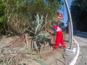 Mutirão de conservação beneficia moradores do Recanto