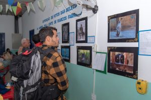 Escola municipal da Gamboa faz exposição de fotos da fauna local