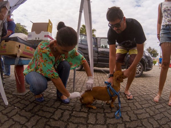 Campanha de vacinação antirrábica em Maricá começa no final de semana