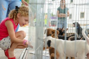 Proteção Animal realiza campanha de adoção na Praça Orlando de Barros Pimentel