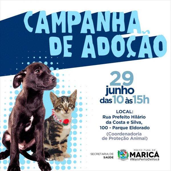 Campanha de adoção de cães e gatos neste sábado