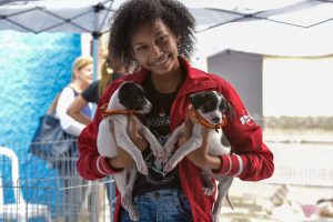 Dezoito animais ganham um novo lar na campanha de adoção