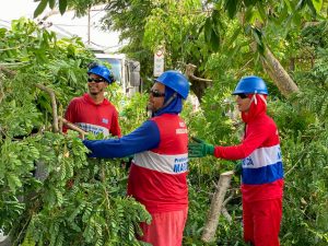 Secretaria de Cidade Sustentável realiza mutirão de poda árvore na cidade em parceria com a Enel