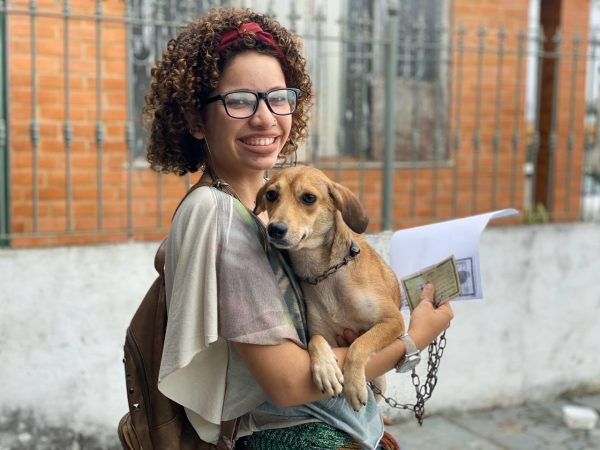 Castração de cães e gatos chega a São José do Imbassaí