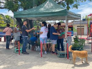 Maricá + Verde entrega noventa mudas de plantas no Bambuí