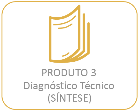 Produto 3 – Diagnóstico Técnico (SÍNTESE)