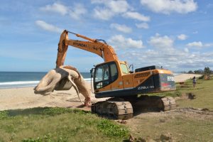 Prefeitura remove carcaça de baleia Jubarte em Ponta Negra