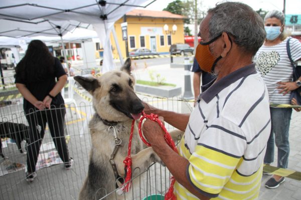 Cães e gatos ganham um lar em campanha de adoção de animais em Maricá