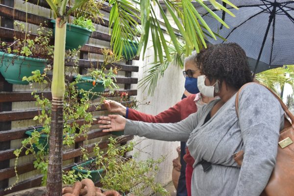 Equipe da Saúde do Estado visita espaços agroecológicos em Maricá