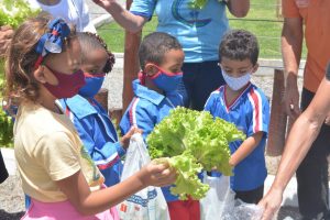 Alunos da rede municipal colhem hortaliças em Guaratiba
