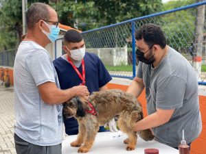 Prefeitura abre inscrições para castração de 50 cadelas