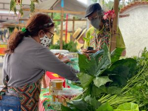Sábado Agroecológico com feira de produtos orgânicos e artesanato
