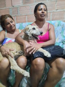 Cadela resgatada por guarda-vidas reencontra família após quatro meses