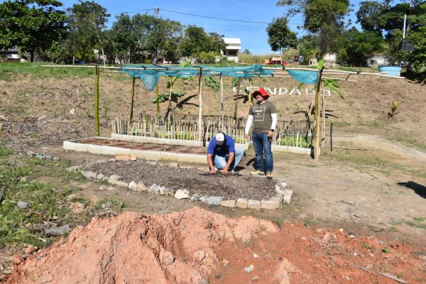 Prefeitura transforma área pública em horta comunitária no Condado